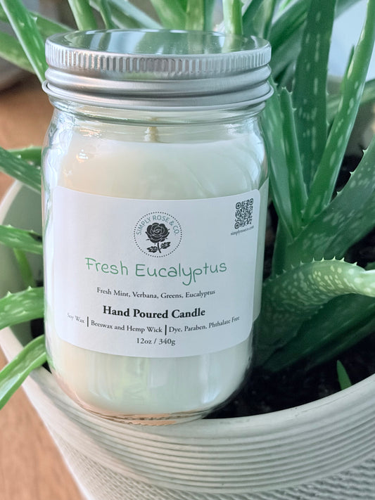 Fresh Eucalyptus~ 12 oz. Candle